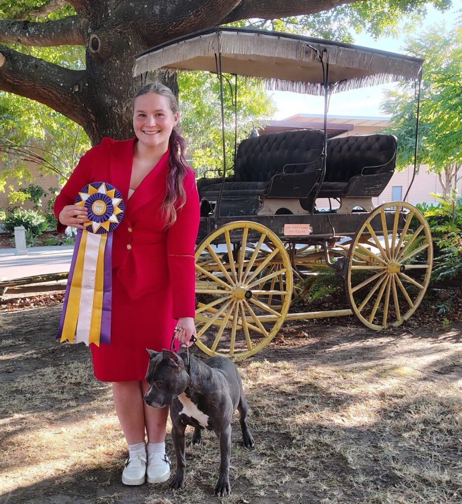 reputable american pit bull terrier breeder