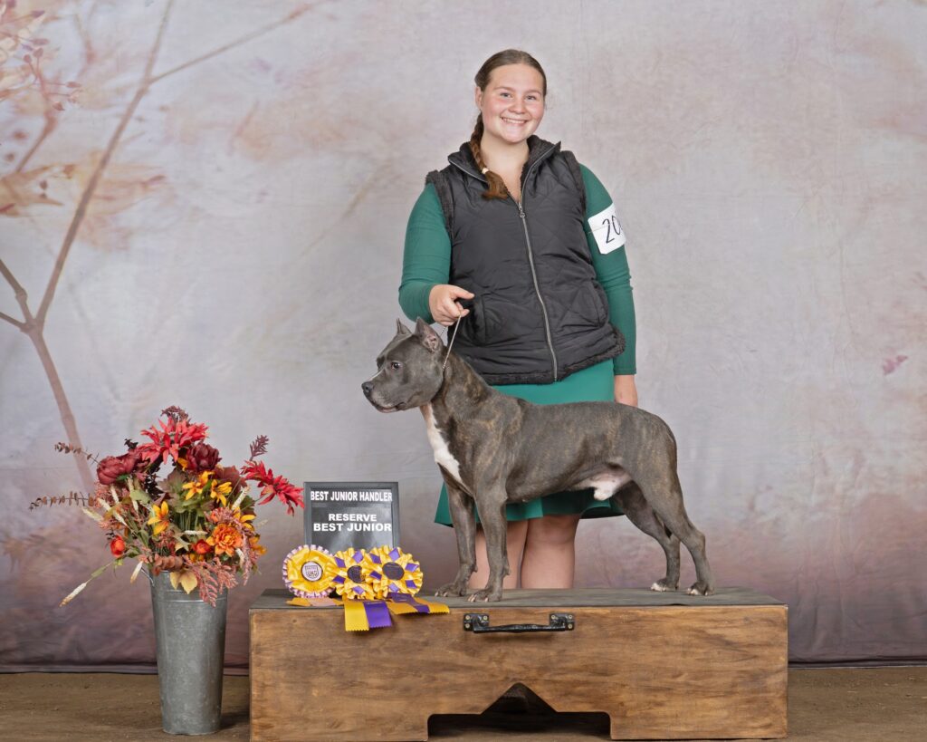 reputable american pit bull terrier breeder
