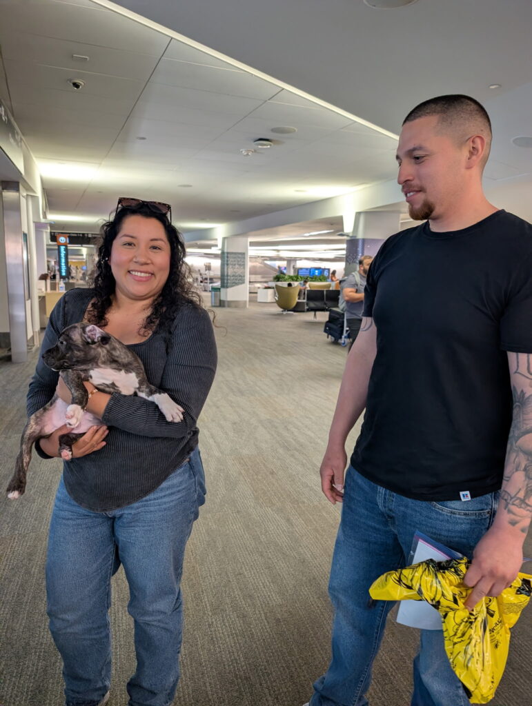 reputable american pit bull terrier breeder