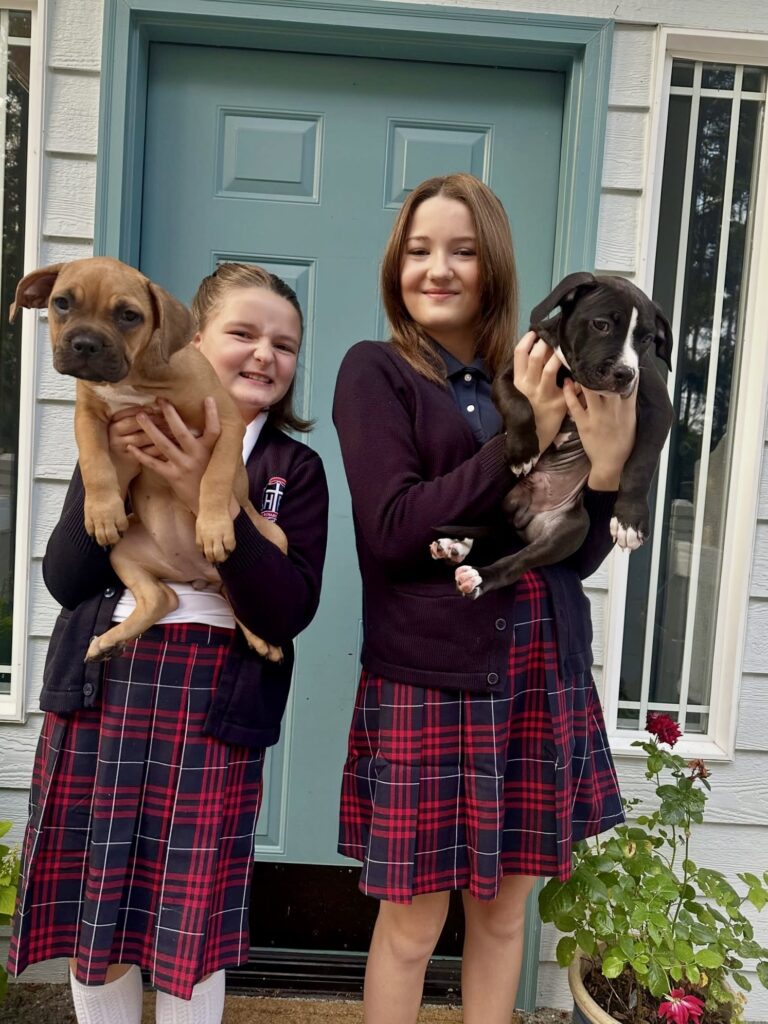 reputable american pit bull terrier breeder