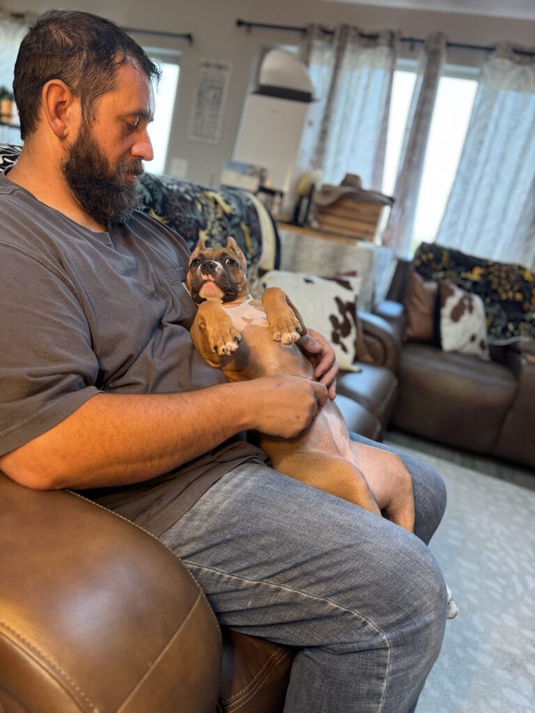 reputable american pit bull terrier breeder
