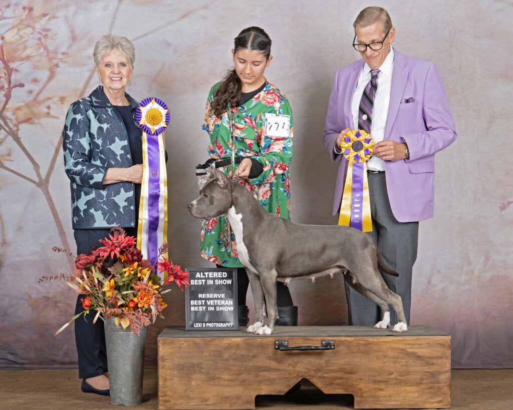 reputable american pit bull terrier breeder
