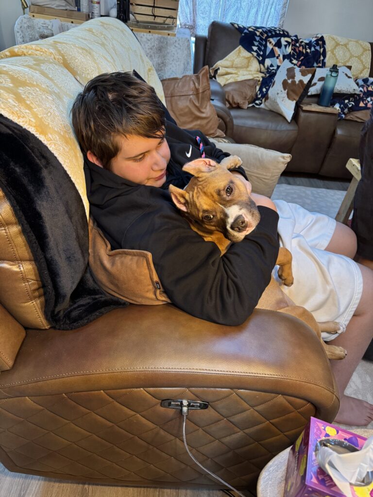 reputable american pit bull terrier breeder