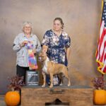 american pit bull terriers in fallon nevada