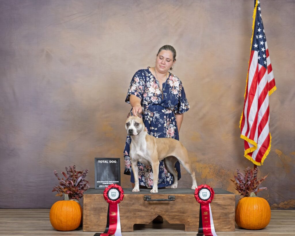 american pit bull terriers in fallon nevada